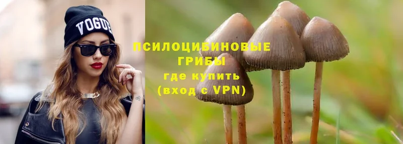 Псилоцибиновые грибы Magic Shrooms  купить наркотик  гидра ссылка  Лермонтов 